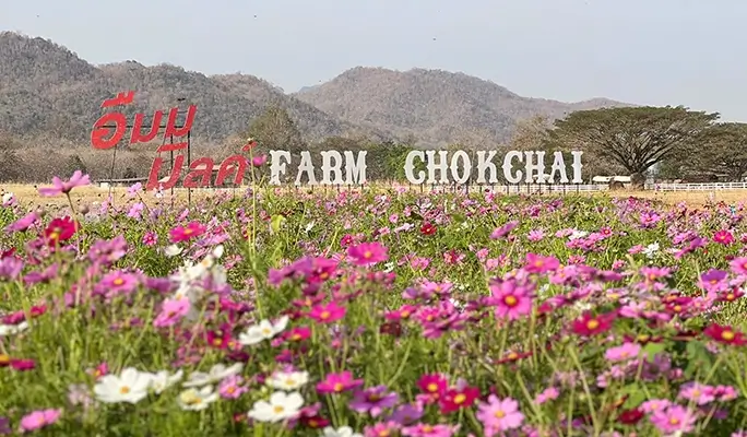 Khao Yai 1 Day Private Taxi Tour - from Bangkok