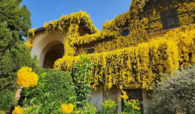 Khao Yai 1 Day Private Taxi Tour - from Bangkok