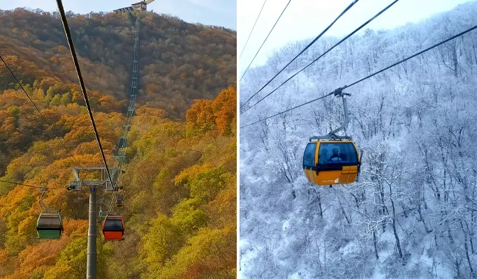 Balwangsan Cable Car (+ Woljeongsa Temple/ Samyang Ranch) 1 Day Tour - from Seoul (Oct 12~Feb 28)