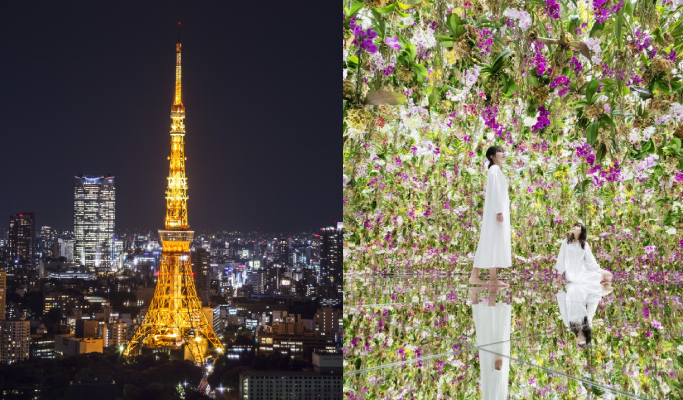 teamLab Planets TOKYO DMM  & Tokyo Tower Main Deck Admission Tickets