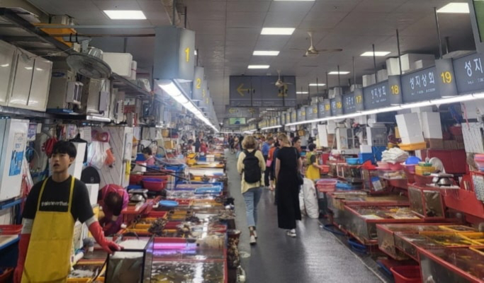 Busan Walking Tour: Gamcheon Culture Village, Jagalchi Seafood Market & Yongdusan Park
