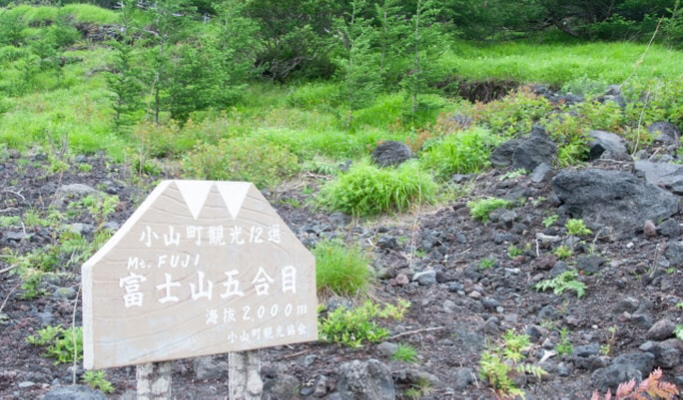 Mt. Fuji + Oshino Hakkai + Onsen / Outlet 1 Day Tour from Tokyo