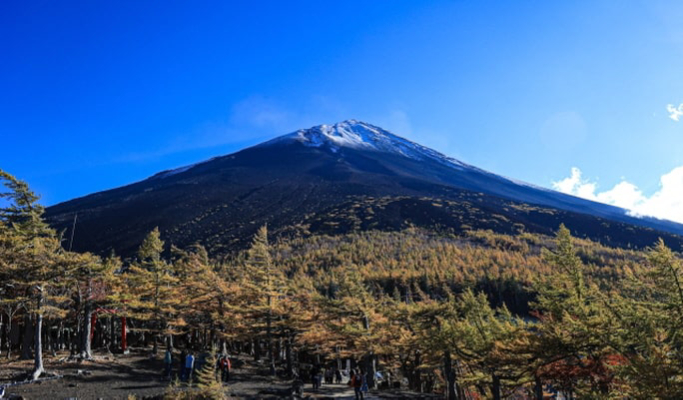 Mt. Fuji + Oshino Hakkai + Onsen / Outlet 1 Day Tour from Tokyo