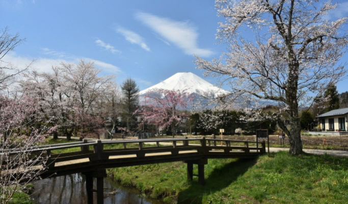 Mt. Fuji + Oshino Hakkai + Onsen / Outlet 1 Day Tour from Tokyo