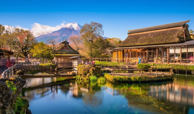 Mt. Fuji 1 Day Private Tour from Tokyo