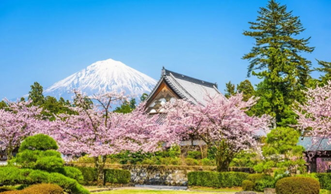 Mt. Fuji 1 Day Private Tour from Tokyo