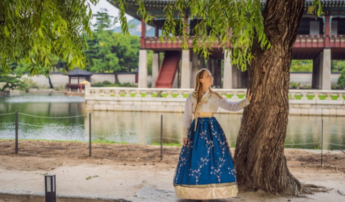 Seoul Walking Tour: Gyeongbokgung, Seochon Village & Tongin Market (Lunch & Hanbok Included)