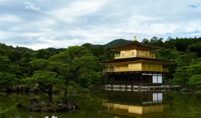 Kyoto City 1 Day Private Tour from Kyoto/ Nara/ Osaka