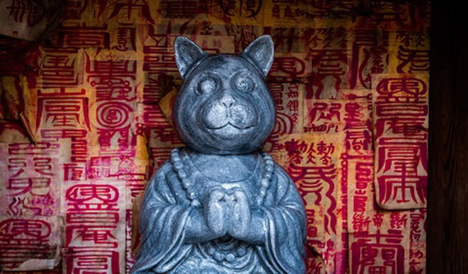 Seoul Occult Walking Tour