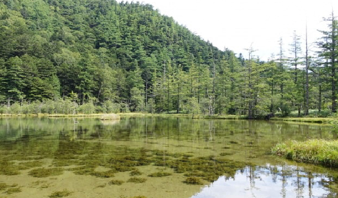 Kamikochi Walking Tour from Nagoya