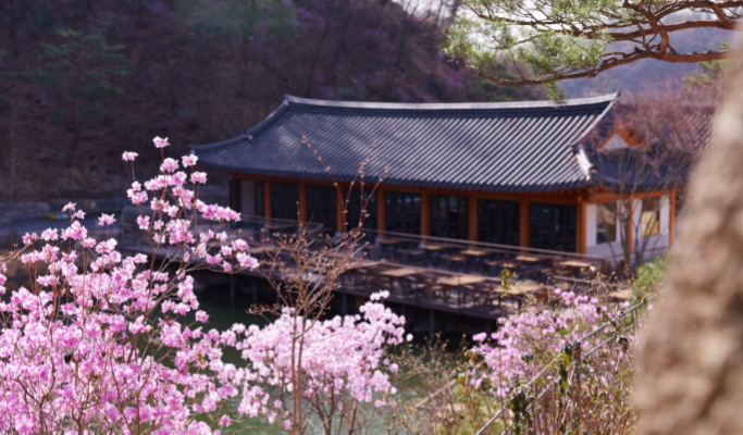 和談植物園+Starfield購物中心+Zoolung Zoolung 1日遊（首爾出發）（3月29日~9月30日）