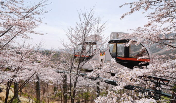 和談植物園+南怡島+江村鐵路自行車1日遊（首爾出發）（3月29日~9月30日）