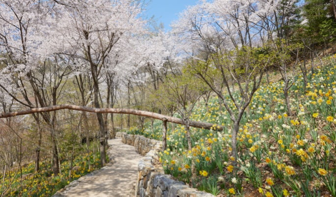 和談植物園+Starfield購物中心+Zoolung Zoolung 1日遊（首爾出發）（3月29日~9月30日）