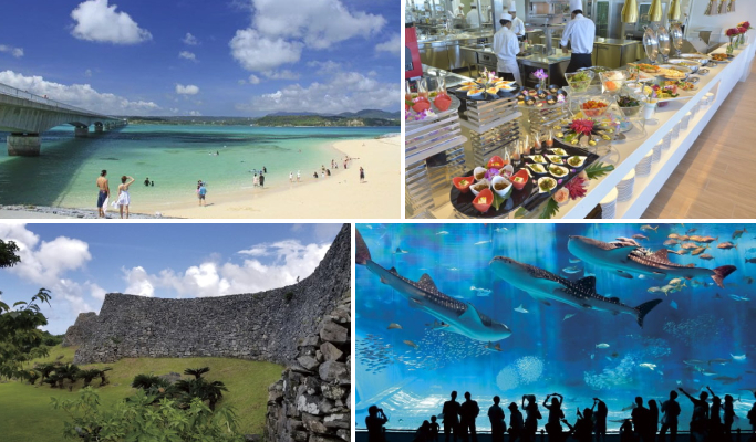 Okinawa Regular Sightseeing Bus: Kouri Island/ Nakijin Castle/ Churaumi Course