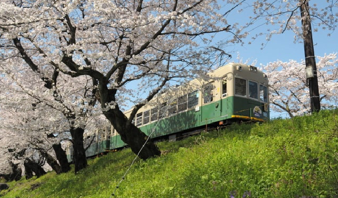 Kyoto Randen Pass & Bicycle Rental at Arashiyama