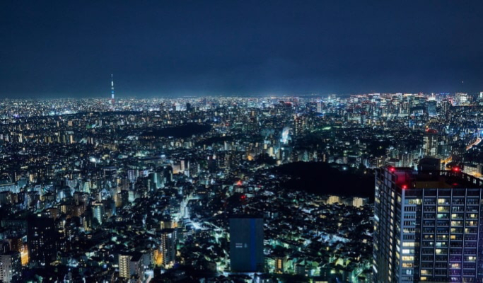 Tokyo Sunshine 60 Observatory Tenbou Park Ticket