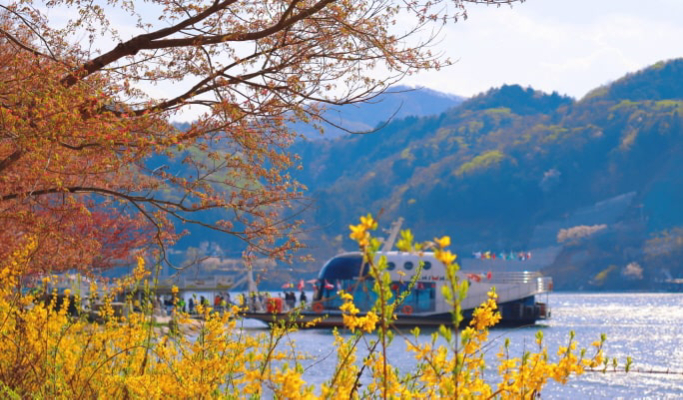 和談植物園+南怡島+江村鐵路自行車1日遊（首爾出發）（3月29日~9月30日）
