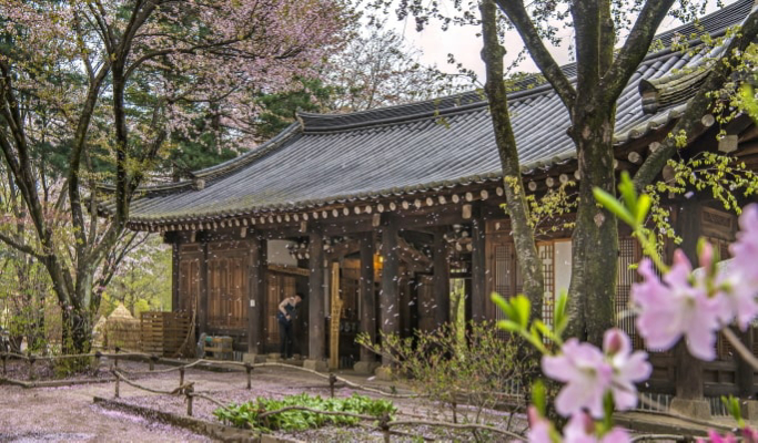 和談植物園+南怡島+江村鐵路自行車1日遊（首爾出發）（3月29日~9月30日）