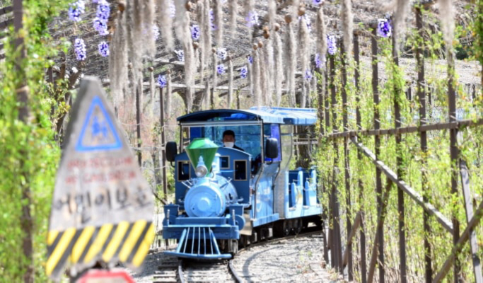 和談植物園+南怡島+江村鐵路自行車1日遊（首爾出發）（3月29日~9月30日）
