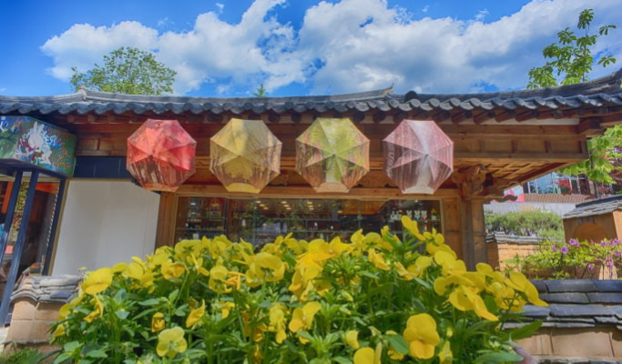 和談植物園+南怡島+江村鐵路自行車1日遊（首爾出發）（3月29日~9月30日）