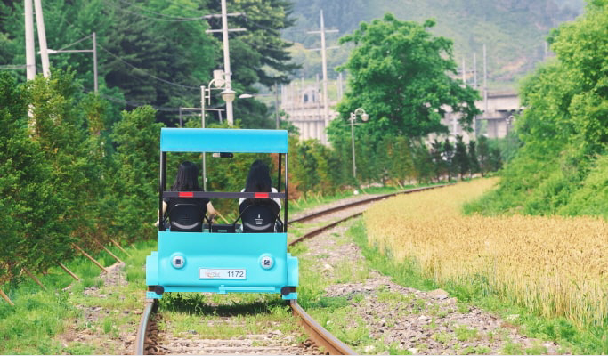 和談植物園+南怡島+江村鐵路自行車1日遊（首爾出發）（3月29日~9月30日）