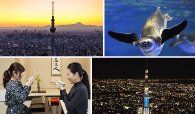 Tokyo Skytree Enjoy Pack (+ Kimono/ Small World/ Sumida Aquarium/ Edo Kiriko/ Japanese Sweets Making/ Keikyu Hatoku Ticket & Tokyo Subway 24-hour Ticket option)