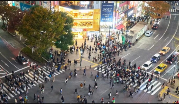 Tokyo City 1 Day Private Tour