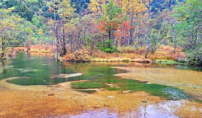 Kamikochi & Tateyama Kurobe Alpine Route & Shirakawa-go 2D1N Tour from Nagoya