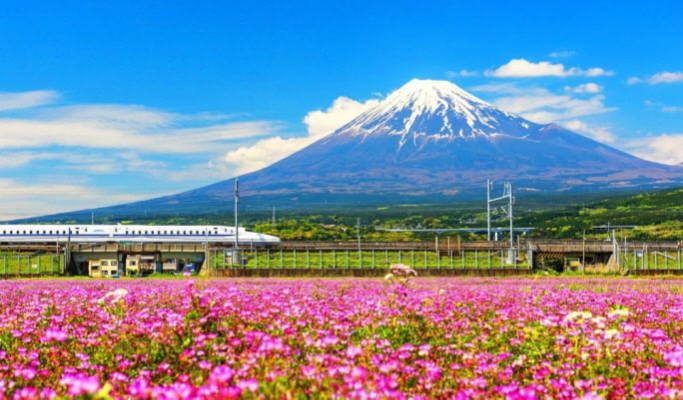 Mt. Fuji + Oshino Hakkai + Onsen / Outlet 1 Day Tour from Tokyo
