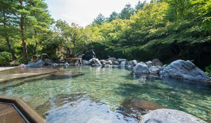 Nagoya Mitsui Outlet Park & Nabana no Sato & Onsen Tour from Nagoya