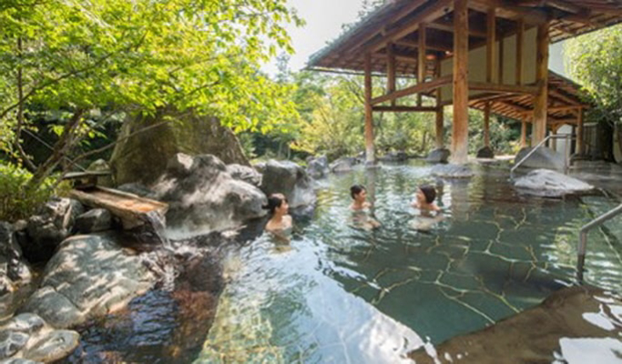 Nagoya Mitsui Outlet Park & Nabana no Sato & Onsen Tour from Nagoya