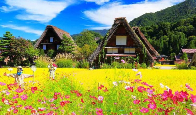 Shirakawa-go Village & Takayama UNESCO 1 Day Tour from Nagoya