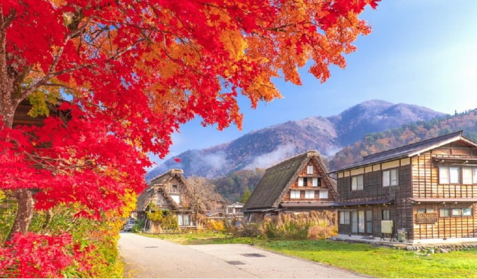 Shirakawa-go Village & Takayama UNESCO 1 Day Tour from Nagoya