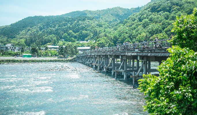 Kyoto Yanagiya Kannon & Arashiyama & Kiyomizudera 1 Day Tour from Oksaka/Kyoto