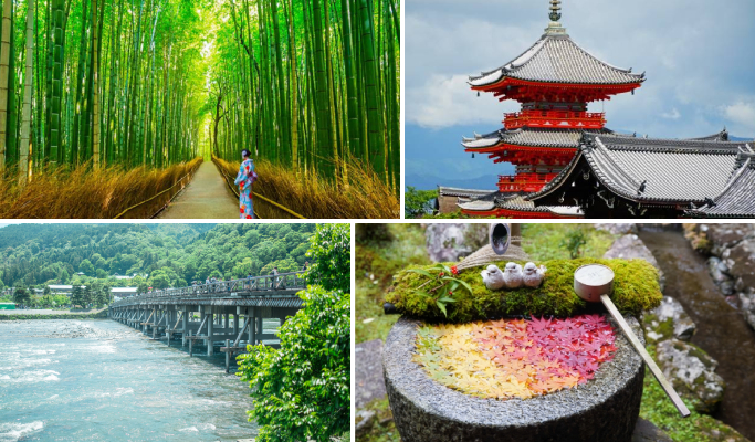 Kyoto Yanagiya Kannon & Arashiyama & Kiyomizudera 1 Day Tour from Oksaka/Kyoto