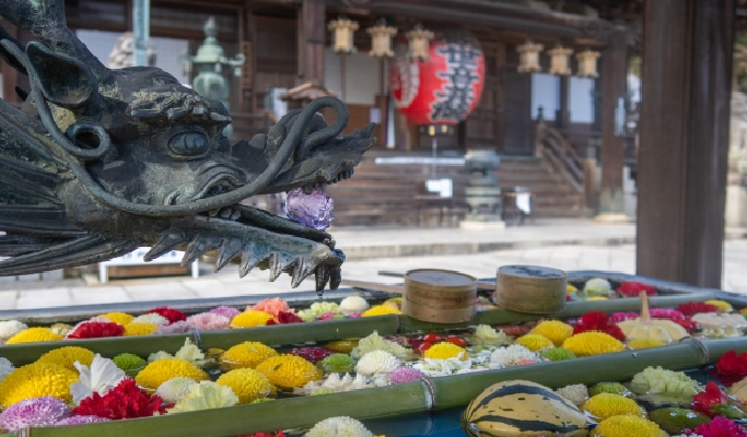 Kyoto Yanagiya Kannon & Arashiyama & Kiyomizudera 1 Day Tour from Oksaka/Kyoto