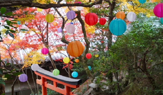 Kyoto Yanagiya Kannon & Arashiyama & Kiyomizudera 1 Day Tour from Oksaka/Kyoto
