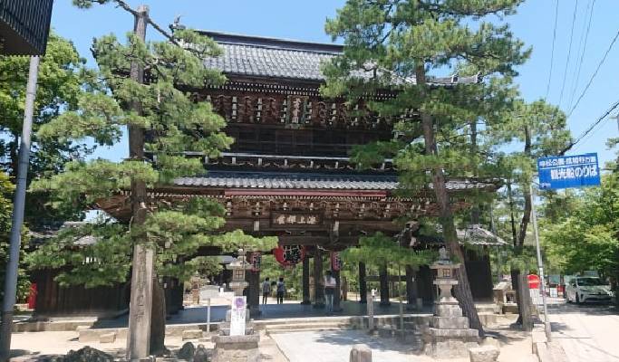 Kyoto Amanohashidate & Ine Funaya 1 Day Tour from Osaka/Kyoto