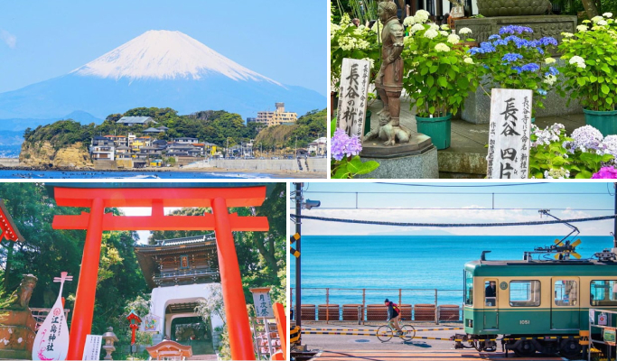 Kamakura Hasedera Temple + Enoshima 1 Day Tour from Tokyo