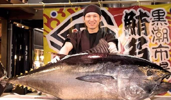 Wakayama Kishi Station & Kuroshio Market & Rinku Premium Outlet 1 Day Tour from Osaka