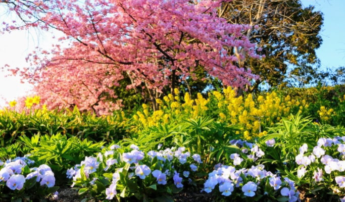 Nagoya Mitsui Outlet Park & Nabana no Sato & Onsen Tour from Nagoya