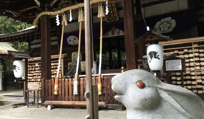 Kyoto Ancient Temple 1 Day Tour With Matcha Experience from Osaka/Kyoto