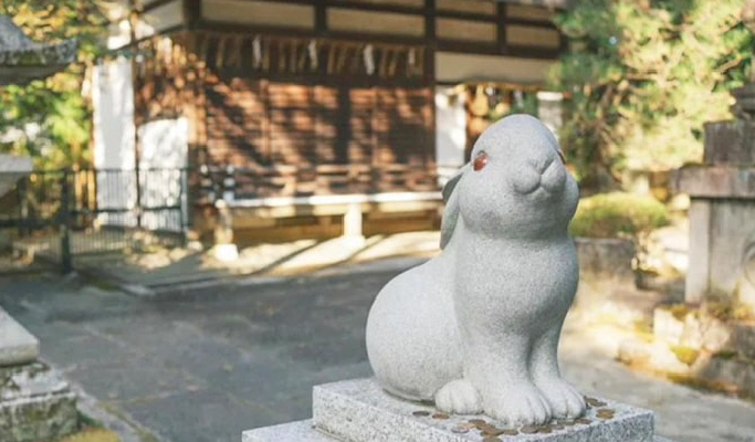 Kyoto Ancient Temple 1 Day Tour With Matcha Experience from Osaka/Kyoto