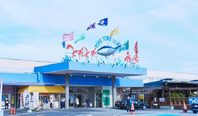 Wakayama Kishi Station & Toretore Market & Senjojiki & Sandanbeki 1 Day Tour from Osaka