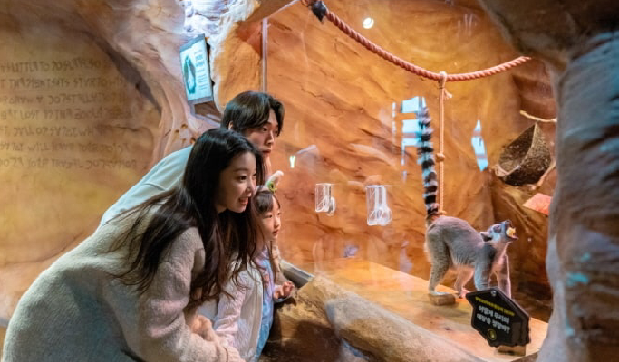 和談植物園+Starfield購物中心+Zoolung Zoolung 1日遊（首爾出發）（3月29日~9月30日）