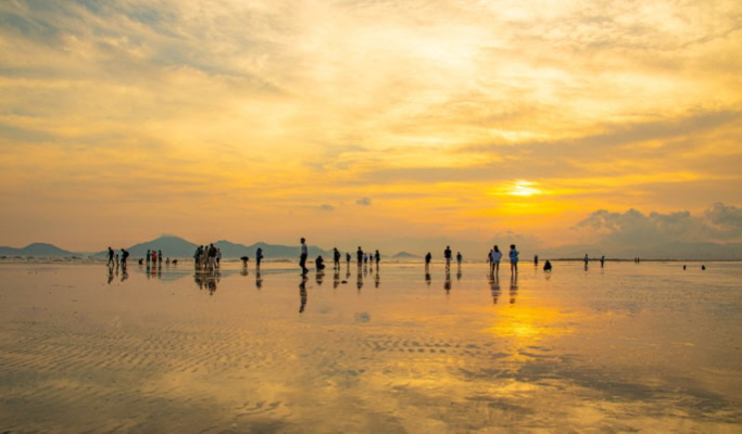 2024 New Year's Eve Sunset Tour from Busan (Dec 31)