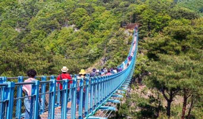 羊駝世界 + 橫城斜坡滑車 + 小金山大峽谷 1日遊 - 首爾出發