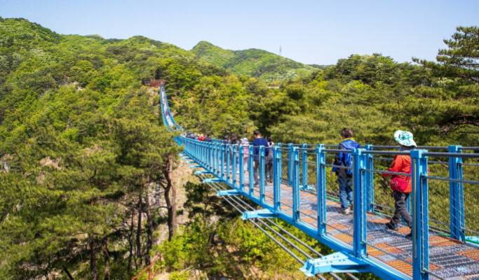 羊駝世界 + 橫城斜坡滑車 + 小金山大峽谷 1日遊 - 首爾出發