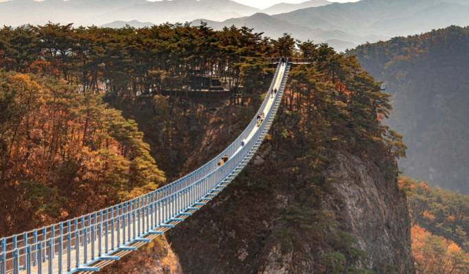 羊駝世界 + 橫城斜坡滑車 + 小金山大峽谷 1日遊 - 首爾出發