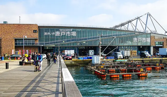 Fukuoka Food & Culture Day Tour to Karato Seafood Market, Kokura Castle & Dazaifu